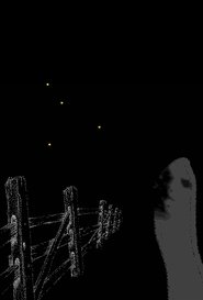 Poster Fireflies Along the Fence 