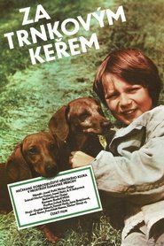 Poster Behind the Sloe-Bush 1981
