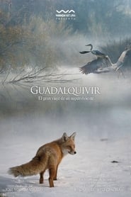 Poster Guadalquivir