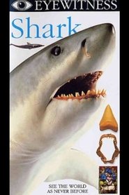 Poster Eyewitness: Shark 1994