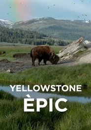 Yellowstone èpic
