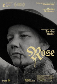Роза постер