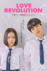 Love Revolution poster