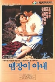 Poster 땜장이 아내