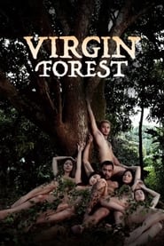 Poster Virgin Forest