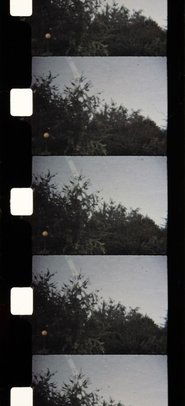 Poster Soleil d'Automne 1989