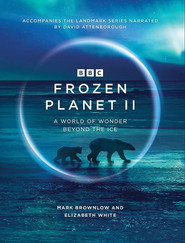 Замерзла Планета 2 / Frozen Planet II (2022) TMDB poster