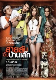 Poster สายลับจับบ้านเล็ก