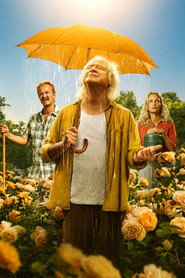 Let It Rain постер
