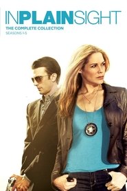U.S. Marshals, Protection de témoins (2008)