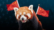 Are Red Pandas China's Secret Diplomatic Tools?