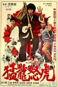 Bruce and Dragon Fist 1977 映画 吹き替え