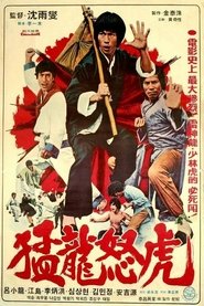 Poster Bruce and Dragon Fist 1977