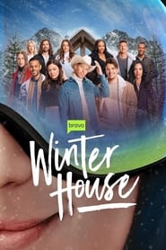 Winter House постер