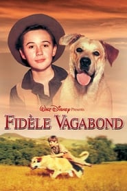 Regarder Fidèle vagabond 1957 en Streaming VF Gratuit