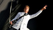 The Hives
