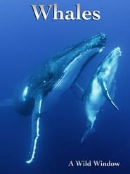 Poster Wild Window: Whales