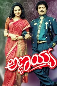 Poster Annayya 1993