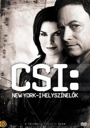 CSI: NY Season 9 Episode 5