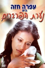 Poster Na'arat haparvarim