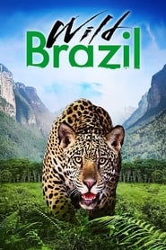 Poster Wild Brazil