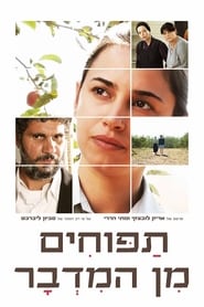 Poster תפוחים מן המדבר