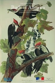 Poster Birds of America