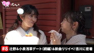 Afsnit 8