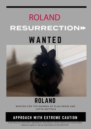 Roland: Resurrection постер