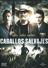 Caballos salvajes poster