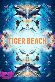 Tiger Shark Beach