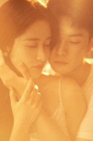 Fall in Love Again poster