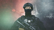 B.R.I. : La série documentaire