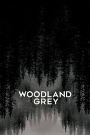 Poster Woodland Grey