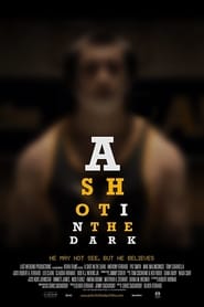 A Shot in the Dark постер