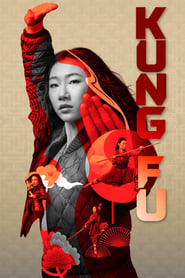 Кунг-фу постер