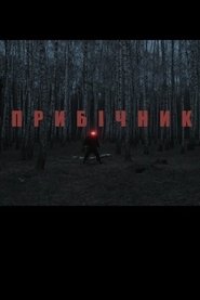 Прибічник