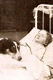Poster Playmates 1912