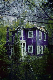 Mysterious Purple House