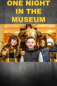 One Night in the Museum One Night in the Museum