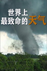 MongoDB.Entities.FuzzyString