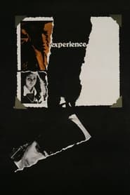 Poster The Experience