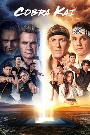 Cobra Kai (2018) Cobra Kai (2018)
