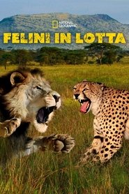 Cat Wars: Lion vs. Cheetah) Cat Wars: Lion vs. Cheetah (2011)