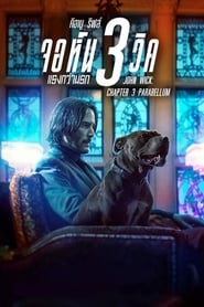 ดูหนัง John Wick 3: Parabellum (2019) จอห์น วิค 3: แรงกว่านรก [Full-HD]