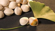 GINKGO NUTS