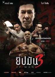 ยิปมัน 3 (2015)