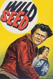 Poster Wild Seed 1965
