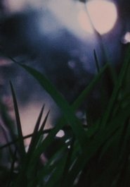 Poster Dog Track 1969 Poster Dog Track 1969