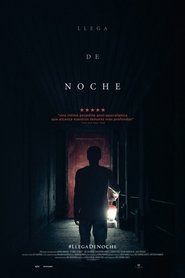 Llega de noche